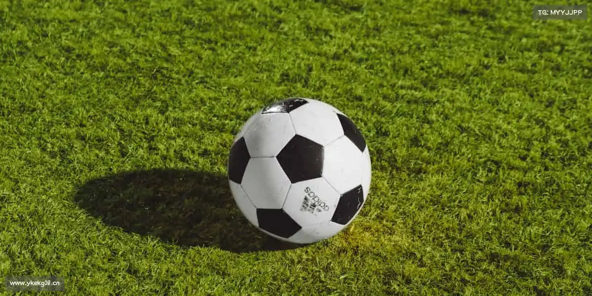 九游老哥稳J9俱乐部——用热爱撬动世界,运动从不设限~⚽